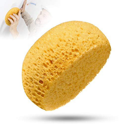 Patelai Knockdown Texture Sponge for Wall Repair