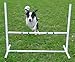 Affordable Agility Dog Agility Essentials Set
