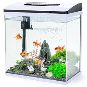 Glass Aquarium Fish Tank Starter Kit with Temperature and Time Display for Betta Fish Featuring Crystal Clear 360° Viewing, Eco-Cycle Filtration, Air Pump (6 Gallon)