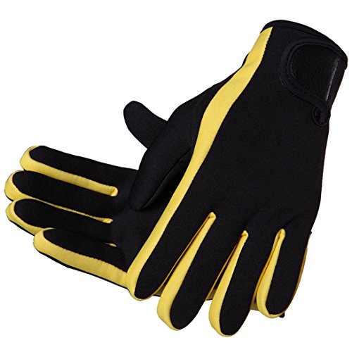 10 best surfing gloves Quick Guide Pro