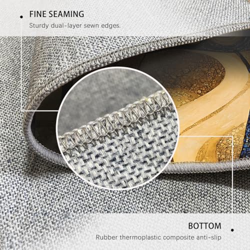 Tapis de salon lavable et antidérapant résistant pour domicile