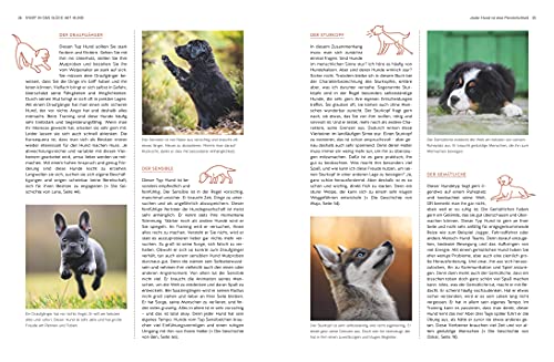 Typgerechtes Welpentraining: Der perfekte Start in die Welpenerziehung – Übungen und Tipps für jeden Welpentyp (GU Welpen)