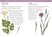 Concise Foraging Guide (Concise Guides)