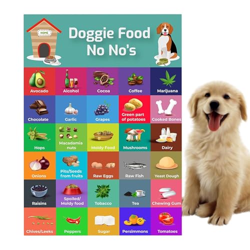 Sichere Hundediät – Sicherheitsratgeber mit 30 Lebensmitteln, bunter Magnet-Sicherheitsliste | Fütterungstabelle für Hunde, Tabelle mit Nahrungsmitteln, die Hunde nicht essen sollten, Bilder von Gesun