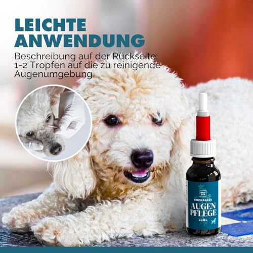 PAW WOW Euphrasia Augenpflege 20ml für Hunde & Katzen | Sanfte Augenreinigung | Natürliche Augen-Tropfen bei gereizten & geröteten Augen | Milde Pflege für Hunde und Katzen
