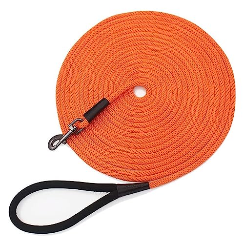 Leash specs and color options