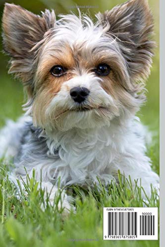 Biewer Terrier Dog Notebook For Dog Lovers: Composition Notebook 6x9" Blank Lined Journal - Image 2