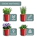 Barnyard Designs Indoor Herb Garden Planter Set with Tray, Metal Windowsill Plant Pots with Drainage for Outdoor or Indoor Plants, Set/3 (Brick Red)