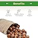 Sincerely Nuts Gourmet Macadamia Nuts Salted & Oil Roasted, 2lb Bag -Fresh Delicious Flavored Macadamia Nut Snack Food - Kosher, Keto, Paleo, Vegan & Gluten Free Friendly Pantry Staple