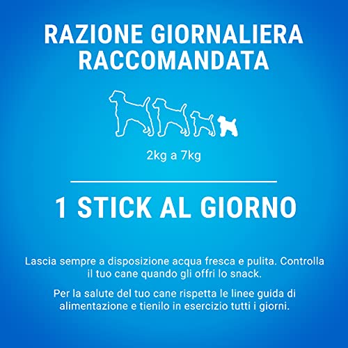 PURINA Dentalife Hundesnack für die Mundhygiene, Größe Extra Small, 6 Packungen mit je 7 Sticks, insgesamt 42 Sticks