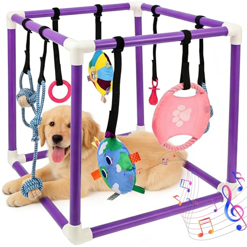 AULSAM Sala giochi per cuccioli con 8 giocattoli sospesi, parco giochi per cani rimovibili, allenamento interattivo indoor, centro attività per cani di piccola taglia e cuccioli (viola)