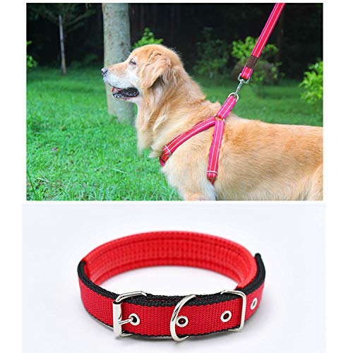 Bikicoco Metal D-Rings Buckle, 2 Inch Non-Welded For Webbing Sewing Diy - Bronze - Pack Of 10 #TOP6