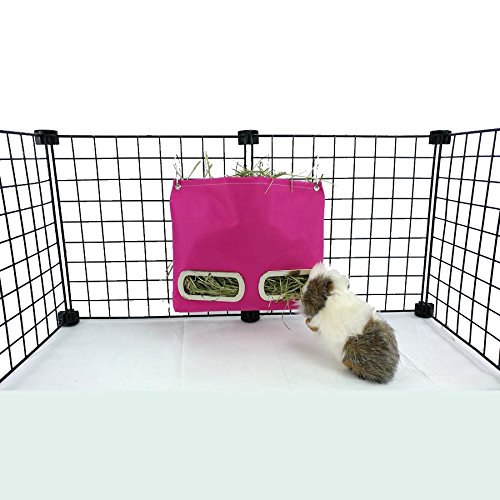 20 Best Rabbit Hay Feeders and Everything about Hay Racks 2020