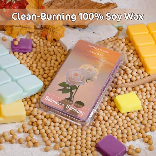 Image of SCENTORINI Wax Melts, Soy Wax Cubes for Relax Healing, 8 Pack | Summer Scent Wax Tarts for Wax Warmer, Highly Scented Wax Melts Gift Set for Home Fragrance