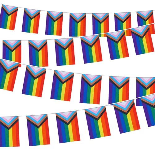 YIAJIA Pride Flag Bunting 26.2ft Pride Decorations Banner Gay LGBTQ Rectangle Colorful String Banner for Festival Celebration Carnival Home Bars Indoor Outdoor