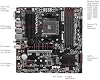 Combo Newegg placa madre, CPU y memoria - B550M PRO-VDH WiFi con Ryzen 5 5500 y T-Force Delta RGB 16GB (2 x 8GB) TF3D416G3200HC16FDC01 8