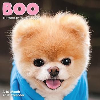 Calendar Boo Mini Wall Calendar (2019) Book