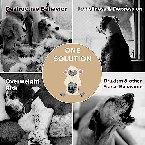Lesure Plush Squeaky Dog Toys - Indestructible Stuffed Dog Toys for Aggressive Chewers with Tough Rope and Crinkle Paper for Puppies, Small Medium Large Pets, Sheep, 1 Pack - Thumbnail 3