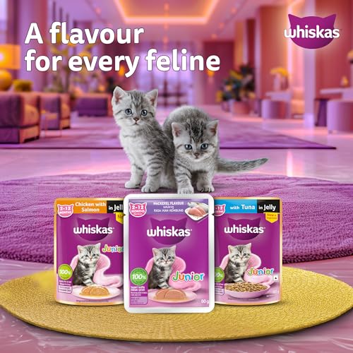Image of Whiskas Junior Kitten (2-12 Months) Wet Cat Food, Chicken with Salmon in Jelly, 80 g, Hydrating Food Made with Real Fish, 100% Complete & Balanced Nutrition for Kittens (Pack of 7)