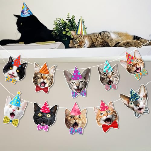 Image of Cat Faces Birthday Banner, Photographic Kittens Garland Party Decor | garland with 12 real photo cat face pennants, pre-strung; reusable cardstock; funny decor for cat lover parties