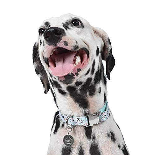 Collier Now House Mint Terrazzo Jonathan Adler chien taille M collier réglable