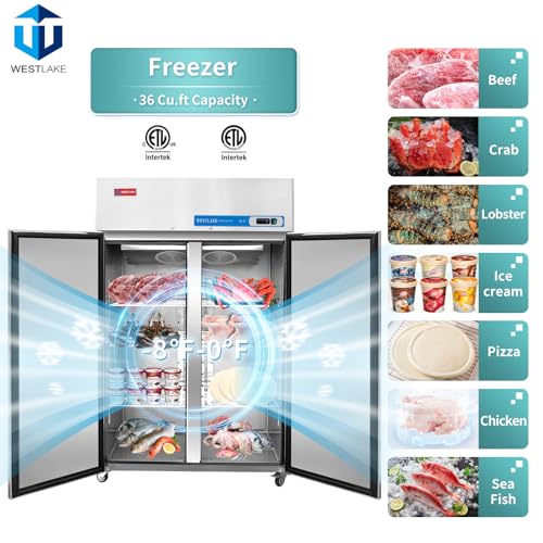 Walk in freezer cold room industrial