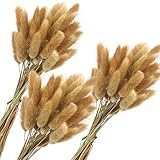 JOHOUSE 120PCS Natural Rabbit's Tail Grass, 16inch Dried Pampas Grass Eternal Flower Dried Grass for...