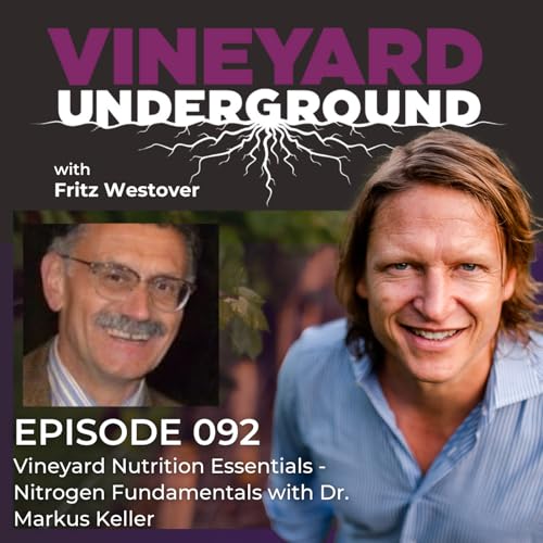 092: Vineyard Nutrition Essentials - Nitrogen Fundamentals with Dr. Markus Keller