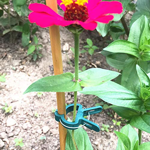 Vianyer 40PCS Netting Bags Fruits Protect Nylon Mesh Barrier Bags 20PCS Plant Support Clips 1 Pack Plant Twist Tie for Garden Vegetable Flower Vine Tomato Grape Figs Cucumber Zucchini Lily Hydrangeas