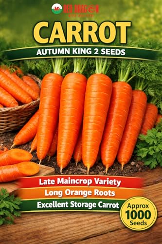 Carrot Autumn King 2 Seeds | Late Maincrop Variety | Long Orange Roots | Excellent Storage Carrot