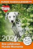 Hunde Tageskalender 2026