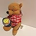 WINNIE THE POOH Disney Bean Bag Plush - Picnic Pooh (8 inch)