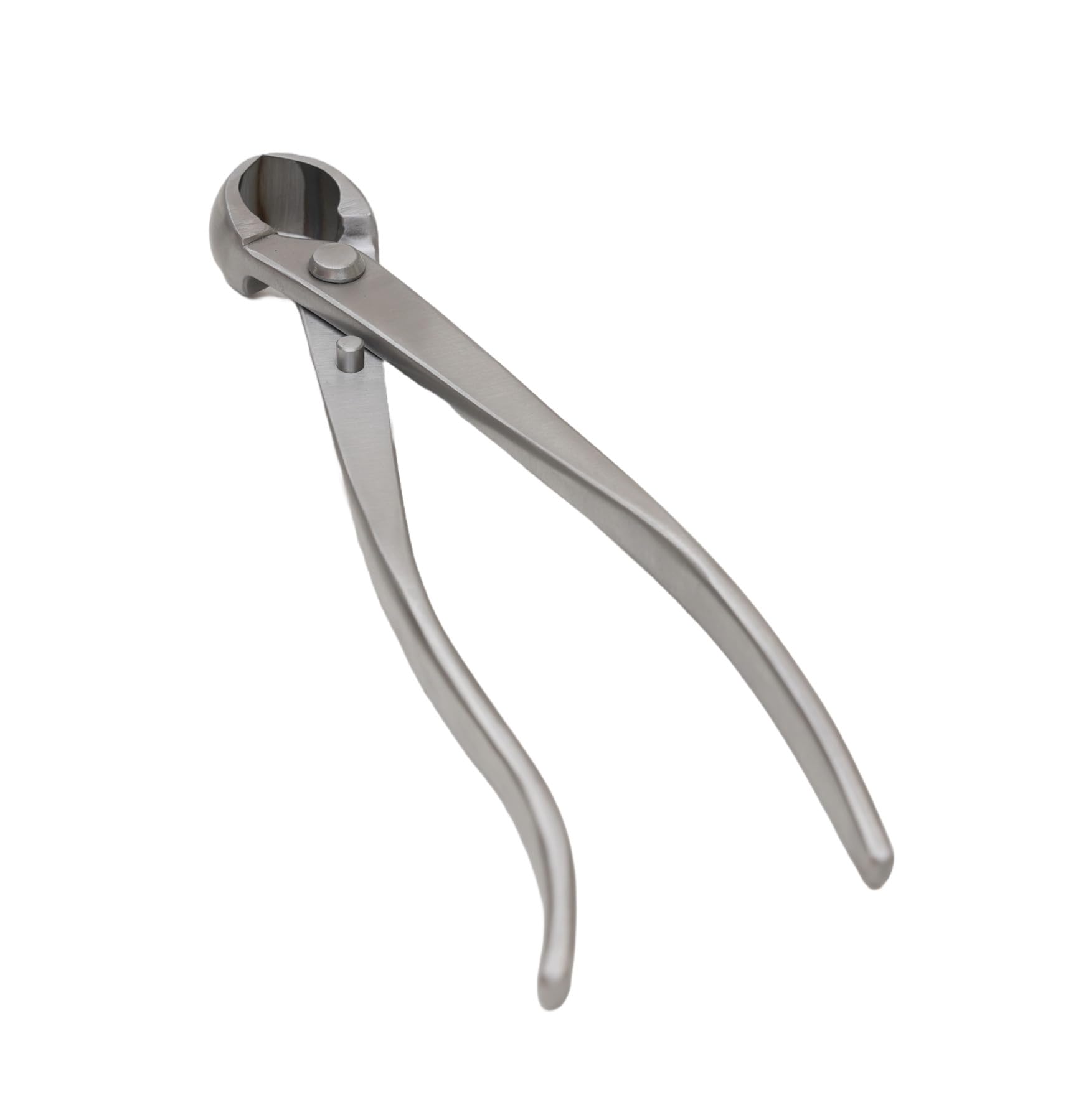 IRUN BONSAI Vaciadora para Bonsái 210mm, Acero Inoxidable, Corte Cóncavo, Herramienta Profesional de Jardinería