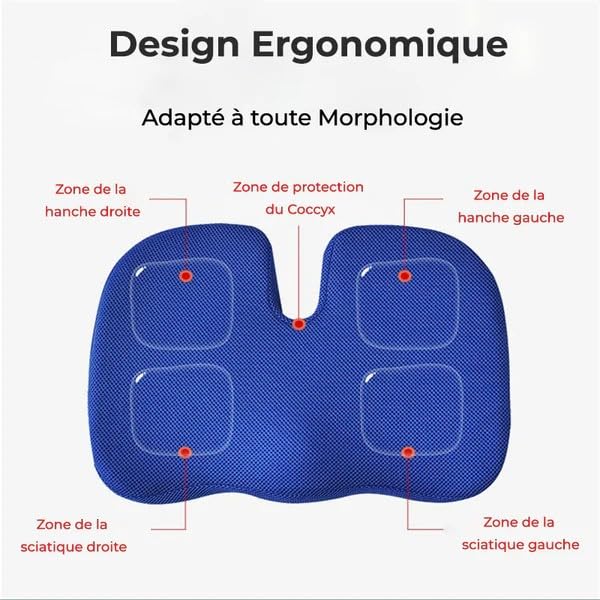 Coussin Orthopédique d'Assise Cellsius(1x Coussin Noir)