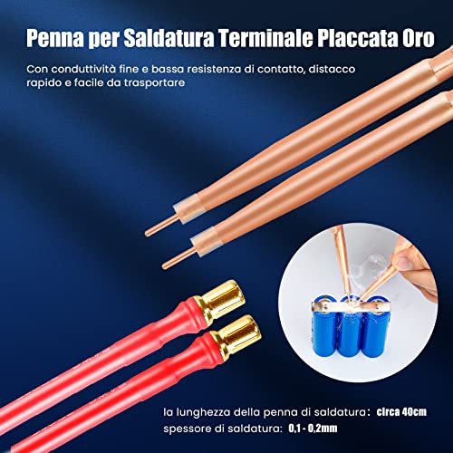 Seesii Saldatore a Punti Portatile con Schermo