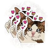 (3PCS) Sad Cat Meme Thumbs Up with Heart Good Job Cat Sticker Cat Meme Funny Cat Pet Lover Die-Cut Waterproof Vinyl Stickers for Hard Hat Laptop Water Bottle Phone Case Car (3 Inches)