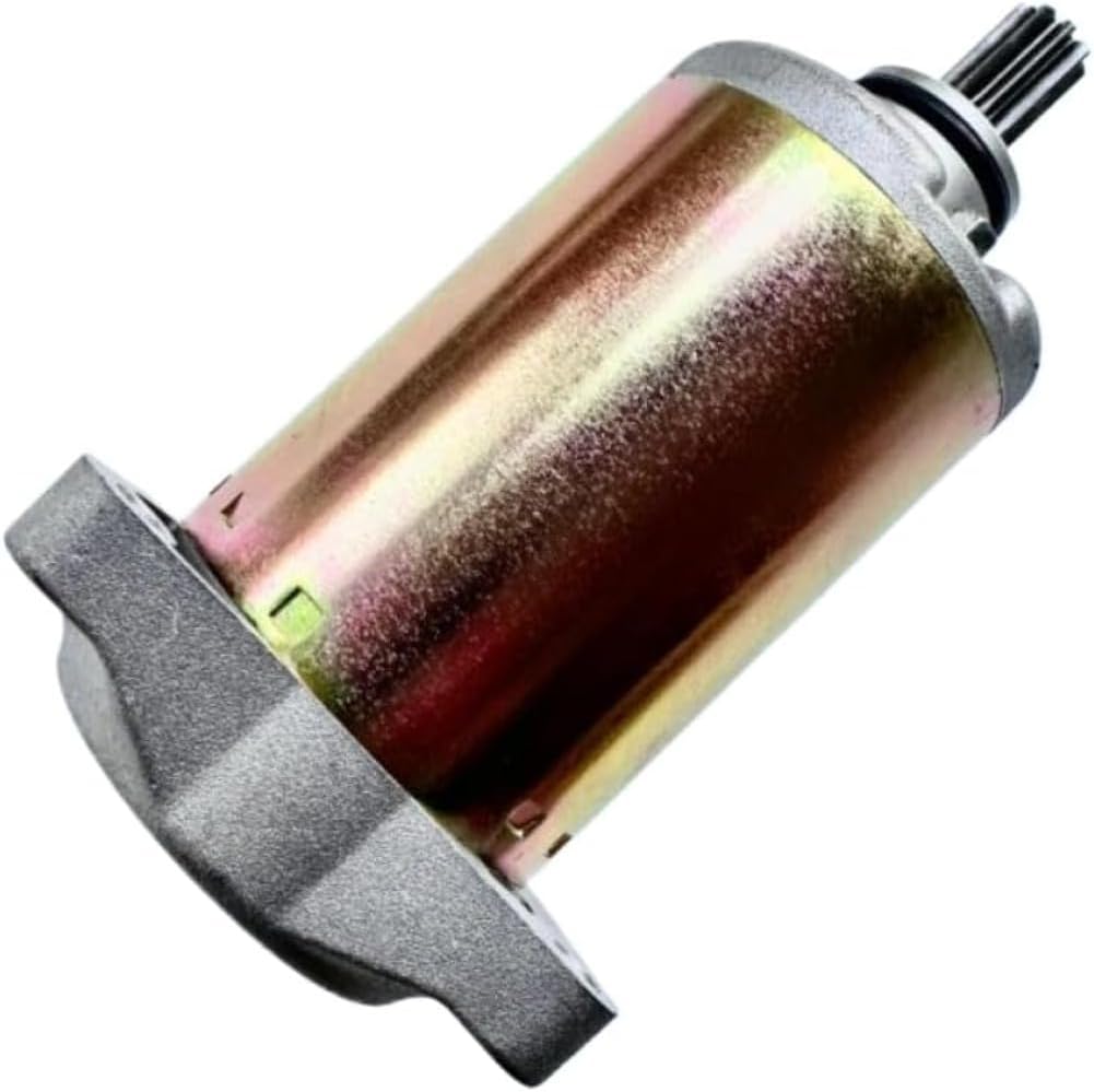 Starter for Hisun 250 Compatible with Massimo Bennch HS MSU250 UTV 250cc Sector Vector 31200-013-0000 P013000312000000
