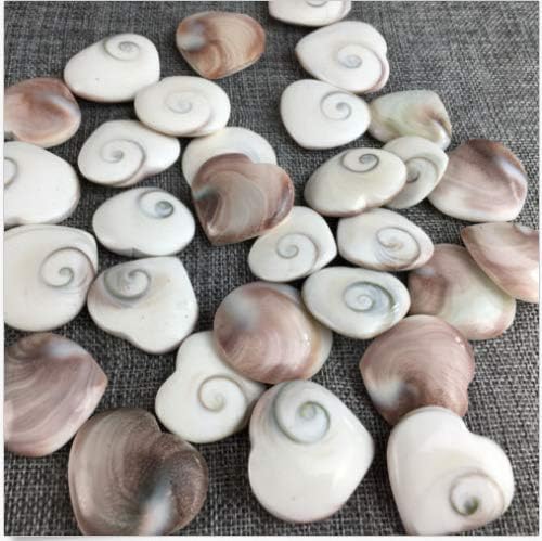 BEAD-NKEB455pcs Natural Sun Shell Fossil Fossil Specimen Crystal Love Heart Reiki Shiva Eye