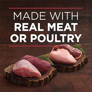 Purina ONE True Instinct Tender Cuts in Gravy with Real Turkey and Venison, and with Real Chicken and Duck High Protein Wet Dog Food Variety Pack - (Pack of 6) 13 Oz. Cans Purina ONE True Instinct Tender Cuts in Gravy with Real Turkey and Venison and with Real Chicken and Duck High Protein Wet Dog Food Variety Pack Pack of 6 13 Oz Cans