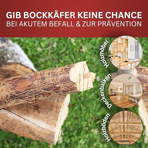 BIODELTA Holzwürmer-Ex Spray - Holzwürmer vertreiben - Holzwurmmittel mit Langzeitschutz - Woodworm treatment - Schluss mit Holzwürmer (500ml) - Indoor & Outdoor geeignet