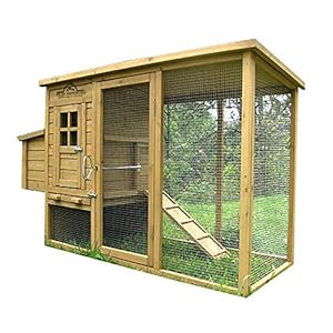 Poulailler 2 à 5 Poules Enclos Amazonfr Animalerie
