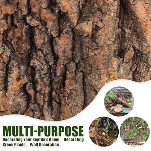 Image of Cork Bark for Terrarium,4Pcs 5.9x5.9In Cork Bark for Reptiles Terrarium Background Accessories