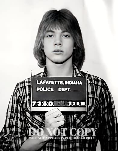 Photo Axl Rose Mugshot : Remplacer un mur vide par du rock légendaire
