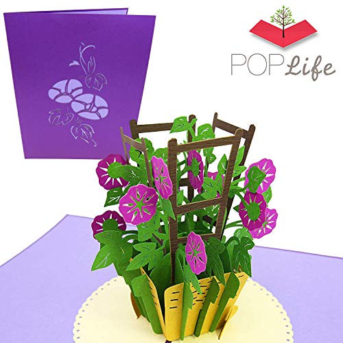 PopLife Cards Gloria matinal día de las madres tarjeta emergente para todas las ocasiones día de la madre, feliz cumpleaños, boda, simpatía, ponerse bien, tarjeta para sus jardineros, pliegues