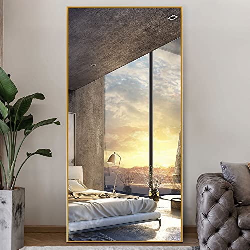 Photo 1 of NeuType Full Length Mirror Floor Mirror Dressing Mirror Home Gym Mirror