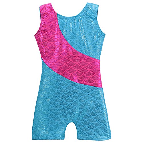 HOZIY Leotards for Girls Gymnastics Kids Children Biketard Snowflake Ribbon Blue Purple Hot Pink Sparkle 4-5T Mermaid Scale