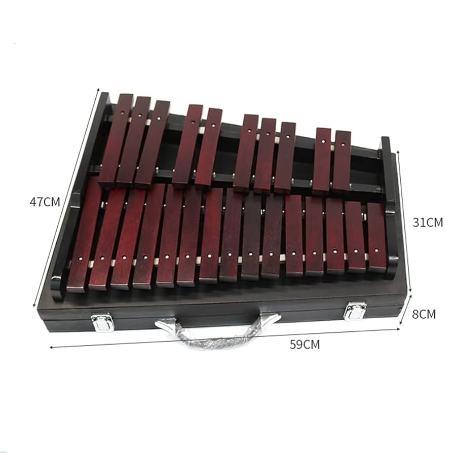 Amazon.co.jp: 25音木製木琴打楽器学校学生バンド大人と学生の