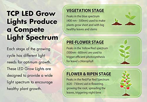 Tcp Rlr20Hh 50 Watt Equivalent Led Plant Light Bulb Shatter Resistant Energy Efficient (8W) Non-Dimmable | R20 Lamp E26 Base, Full Spectrum #TOP4