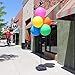 Balloon Bobber - Weatherproof Reusable Paneled Balloon Cluster Pole Kit - Helium Free Plastic Outdoor Balloons
