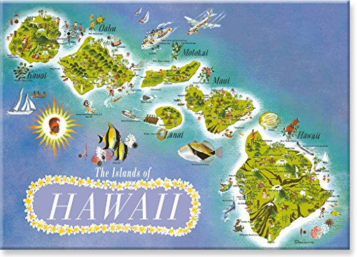 Imán decorativo rectangular Hawai miniatura 1